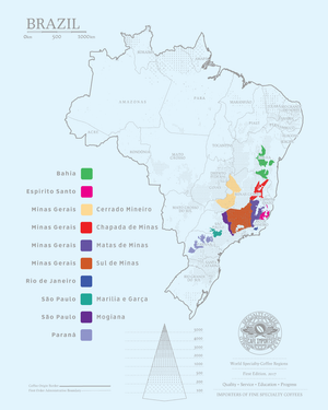 Brasil (Minas Gerais) - Fazenda Borges de Cima Natural